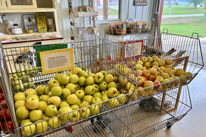 Shade Tree Farm. (Christie Crawford, Clarksville Living Magazine)
