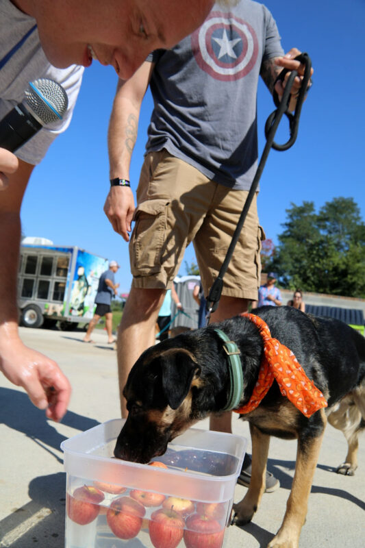 Barks & Brews 2023 Barks & Brews 2023