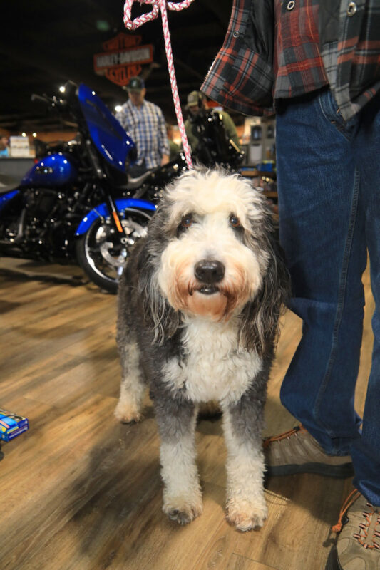 Appleton Harley-Davidson recently hosted its 19th Annual Chili Cook-Off. (Tony Centonze, Clarksville Living Magazine) Appleton Harley-Davidson recently hosted its 19th Annual Chili Cook-Off. (Tony Centonze, Clarksville Living Magazine)