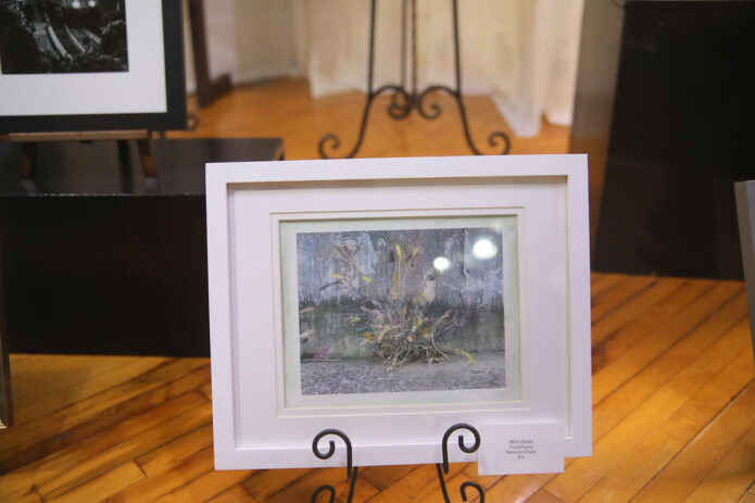 Clarksville ArtWalk. (Tony Centonze, Clarksville Living Magazine)