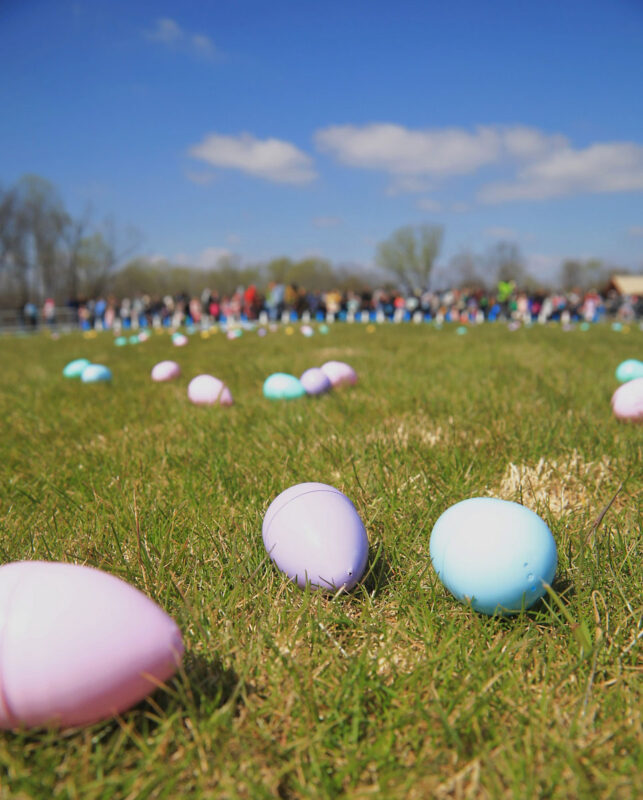 Montgomery County Parks and Recreation’s 2024 Easter Egg Hunt at Civitan Park. (Tony Centonze, Clarksville Living Magazine) Montgomery County Parks and Recreation’s 2024 Easter Egg Hunt at Civitan Park. (Tony Centonze, Clarksville Living Magazine)
