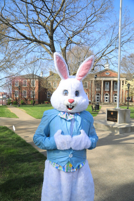 Sigma Chi’s annual Easter egg hunt at APSU. (Tony Centonze, Clarksville Living Magazine) Sigma Chi’s annual Easter egg hunt at APSU. (Tony Centonze, Clarksville Living Magazine)