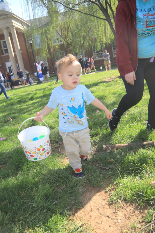 Sigma Chi’s annual Easter egg hunt at APSU. (Tony Centonze, Clarksville Living Magazine) Sigma Chi’s annual Easter egg hunt at APSU. (Tony Centonze, Clarksville Living Magazine)