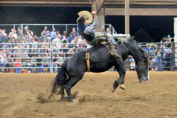 Kiwanis Rodeo