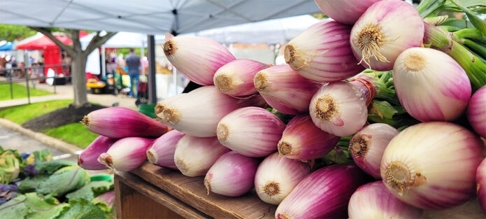 Clarksville Downtown Market