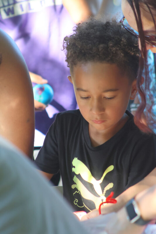 Hummingbird Festival Hummingbird Festival