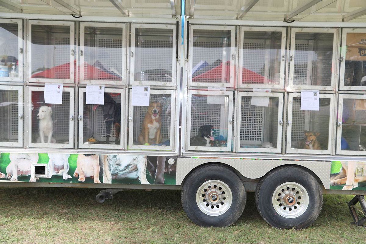 Barktoberfest Barks & Brews Barktoberfest Barks & Brews