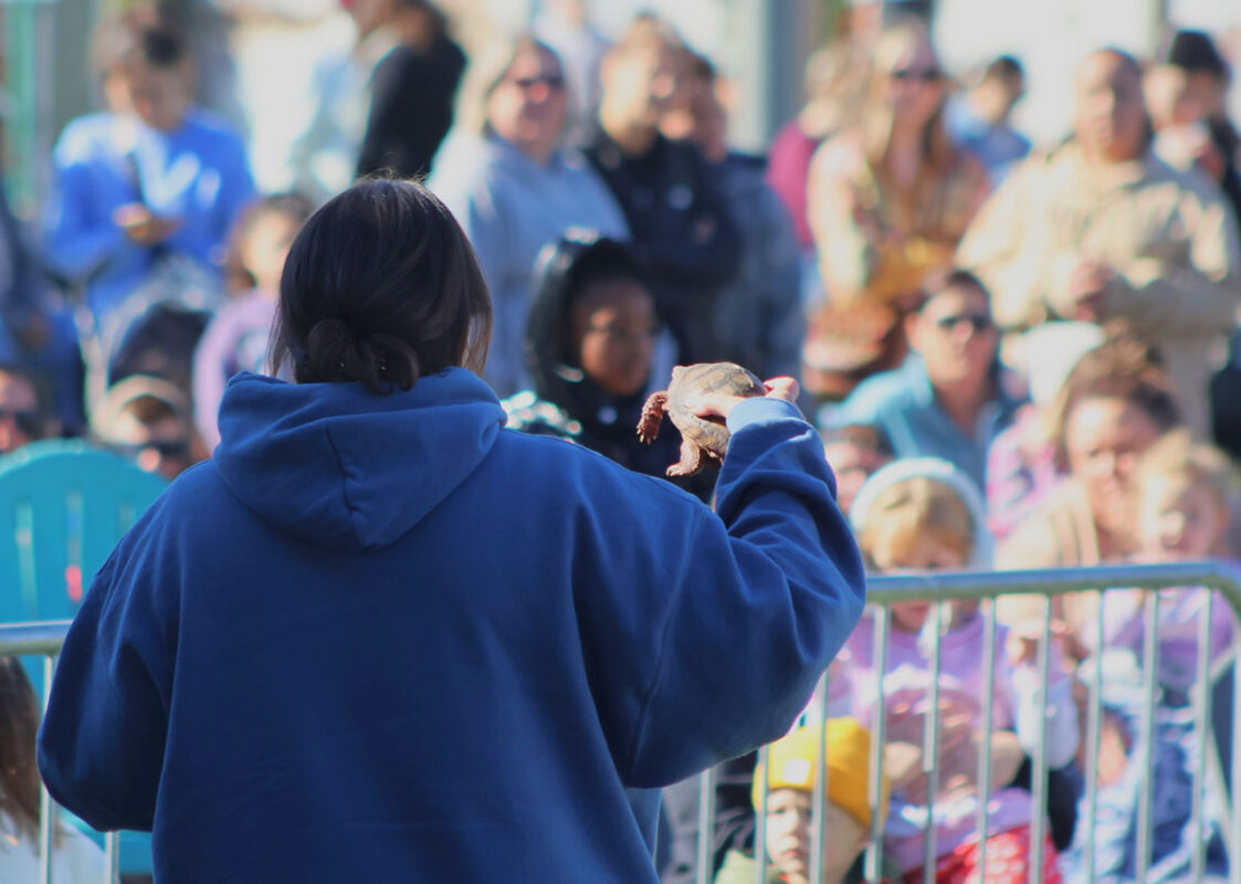 Zooventures at Downtown Commons. (Tony Centonze, Clarksville Living Magazine)