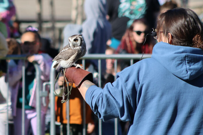 Zooventures at Downtown Commons. (Tony Centonze, Clarksville Living Magazine)