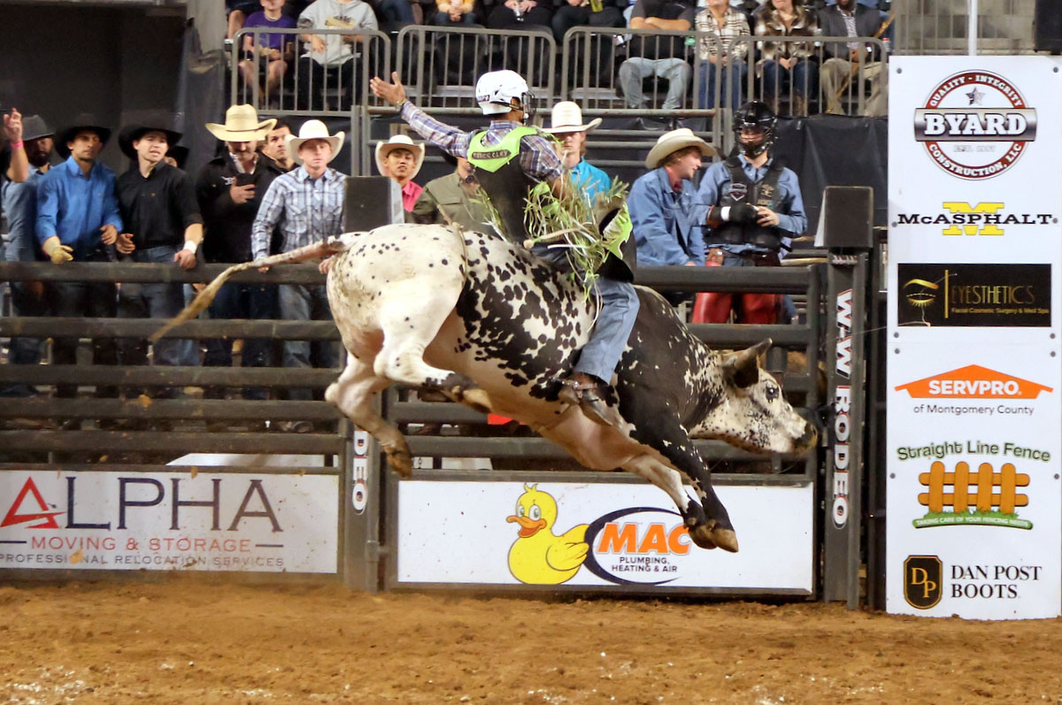 Cory Rasch Bull Riding Cory Rasch Bull Riding