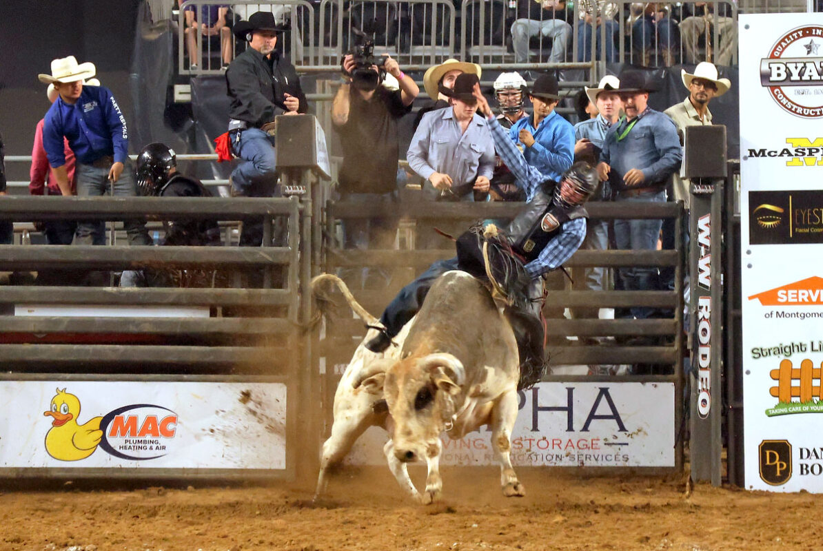 Cory Rasch Bull Riding Cory Rasch Bull Riding