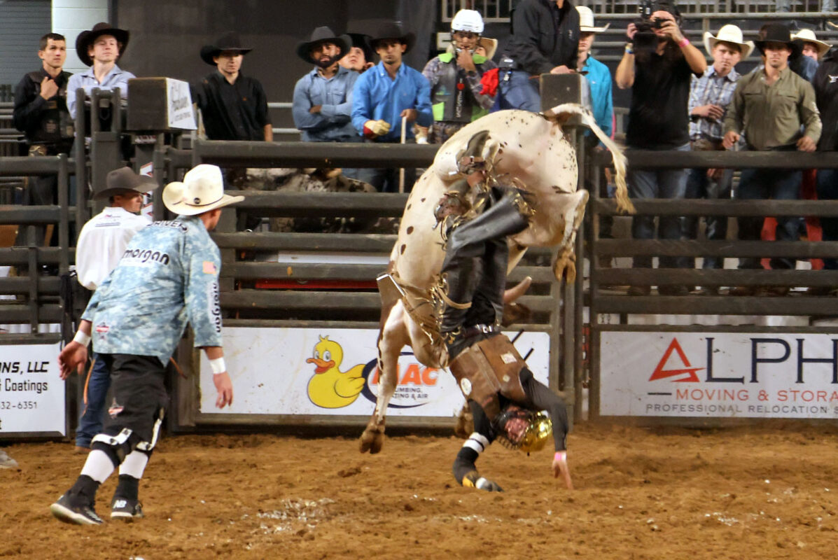 Cory Rasch Bull Riding Cory Rasch Bull Riding