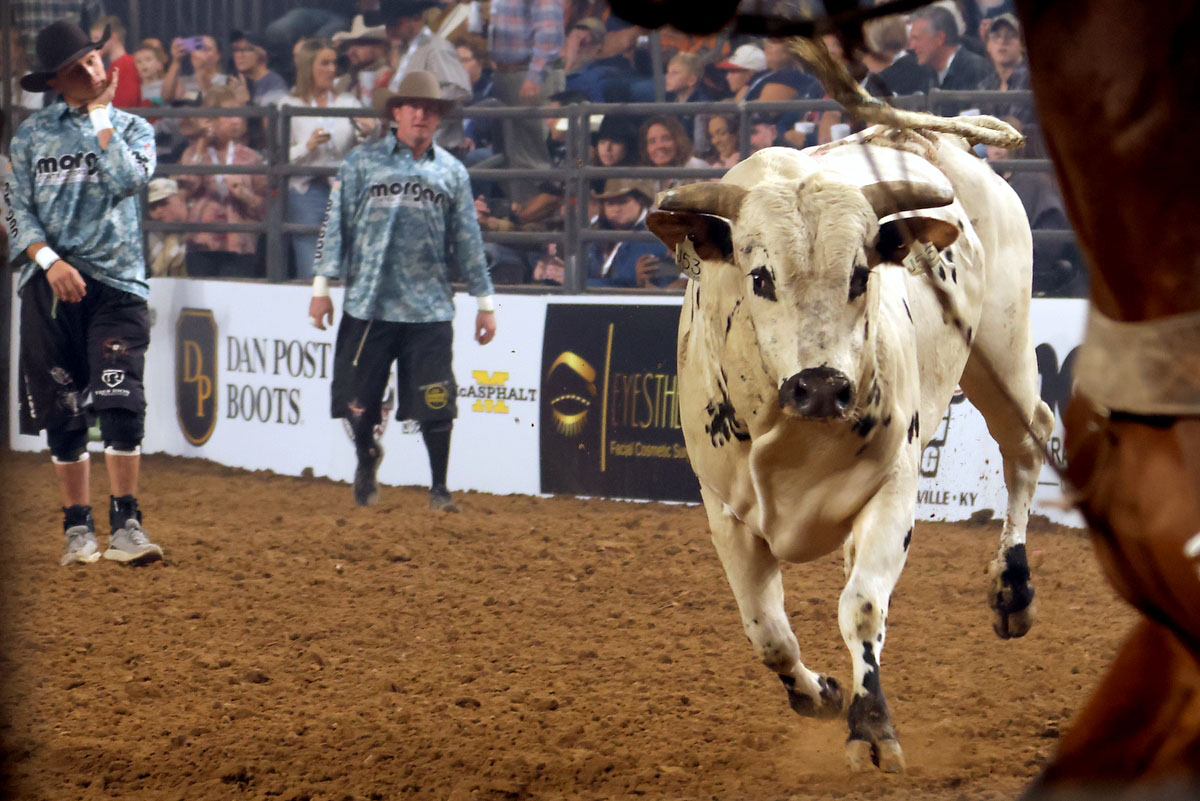 Cory Rasch Bull Riding Cory Rasch Bull Riding
