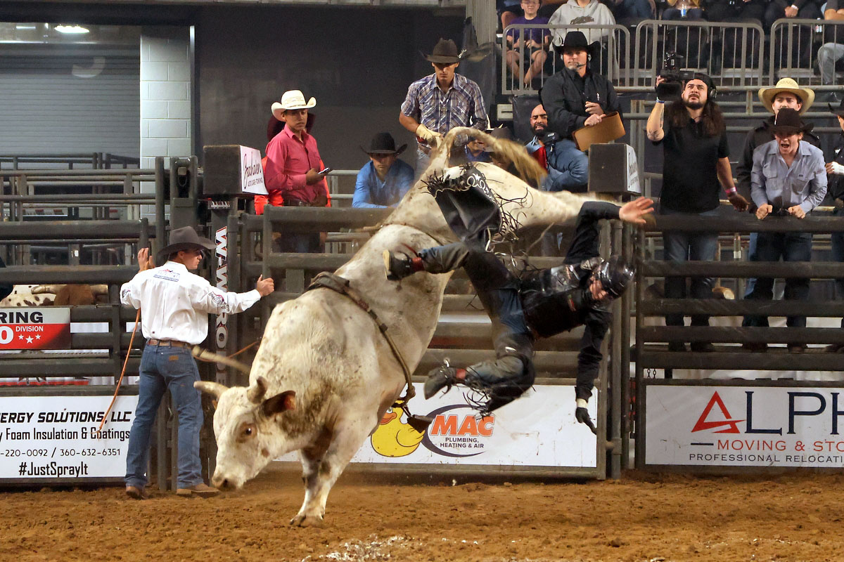 Cory Rasch Bull Riding Cory Rasch Bull Riding