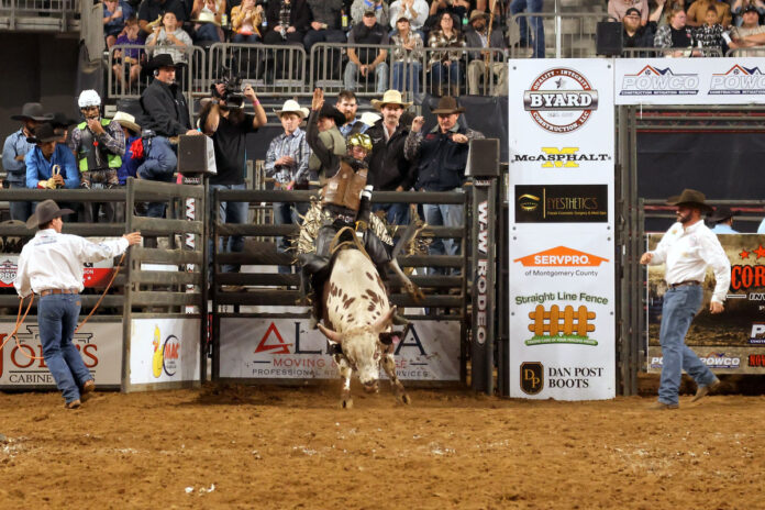 Jesse Willis on Hi Jinx