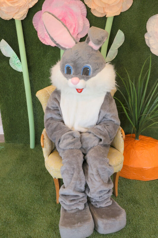 Yellow Creek Baptist Church Shares Love and Joy with Huge Easter Egg Hunt. (Mark Haynes, Clarksville Living Magazine) Yellow Creek Baptist Church Shares Love and Joy with Huge Easter Egg Hunt. (Mark Haynes, Clarksville Living Magazine)