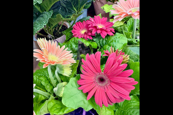 Flowers
