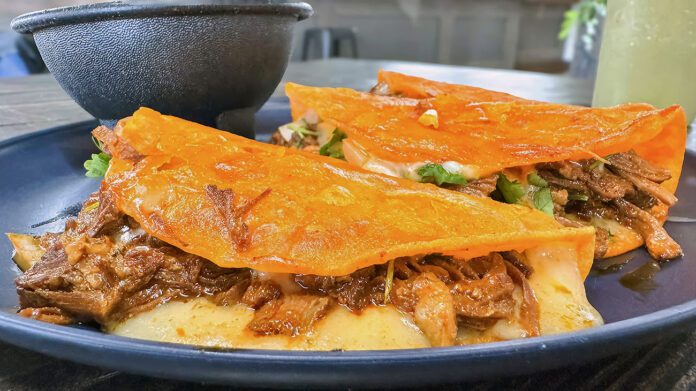 Quesa Birria Tacos. Quesa Birria Tacos. (Mark Haynes, Clarksville Living Magazine)