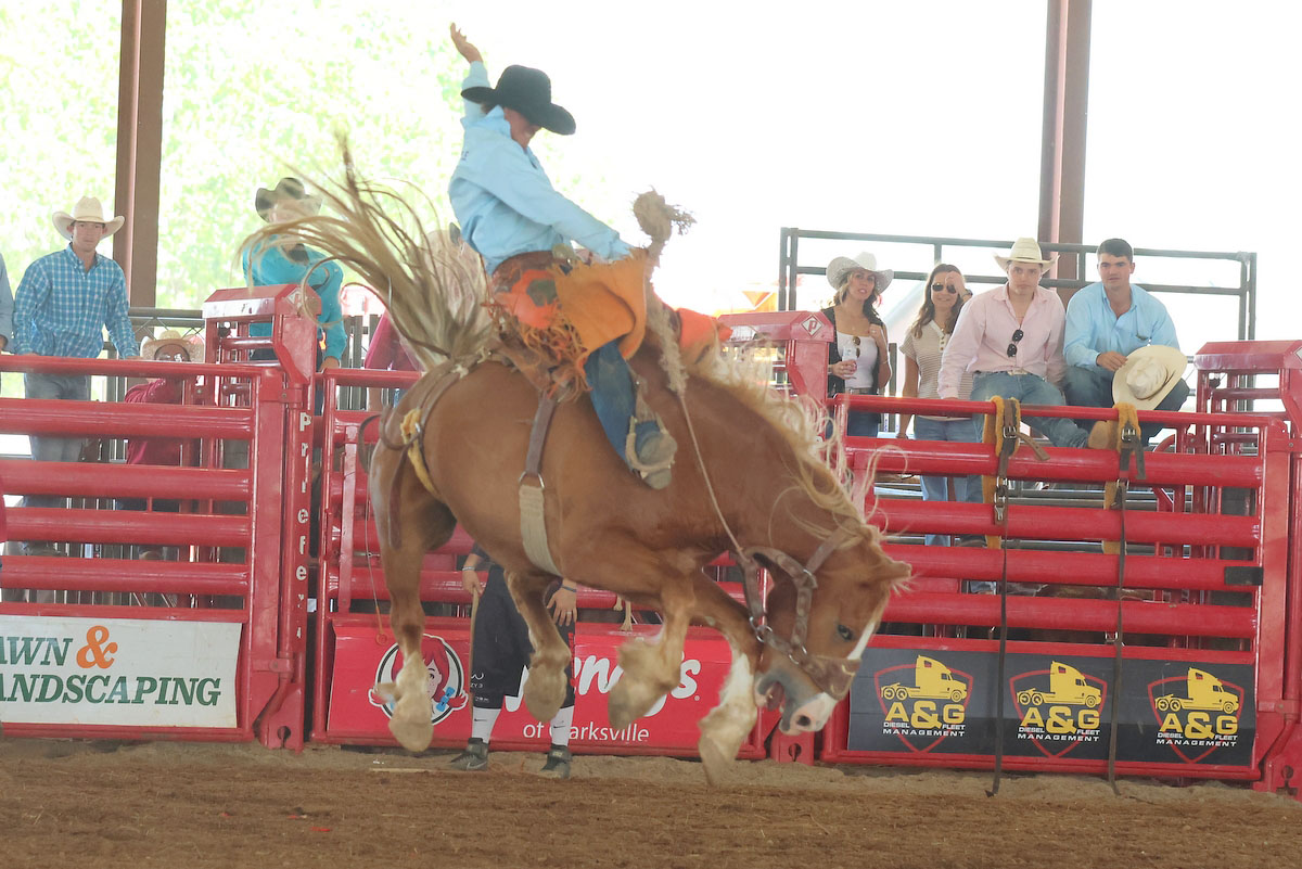 Clarksville Kiwanis Rodeo 2025. (Tony Centonze, Clarksville living Magazine) Clarksville Kiwanis Rodeo 2025. (Tony Centonze, Clarksville living Magazine)