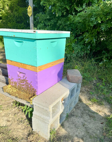 Bee Keeping.  (Roger Stewart)