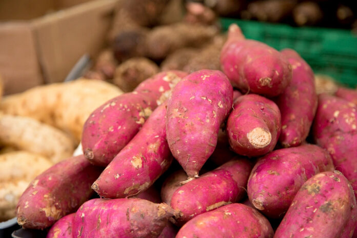 Red Sweet Potatoes