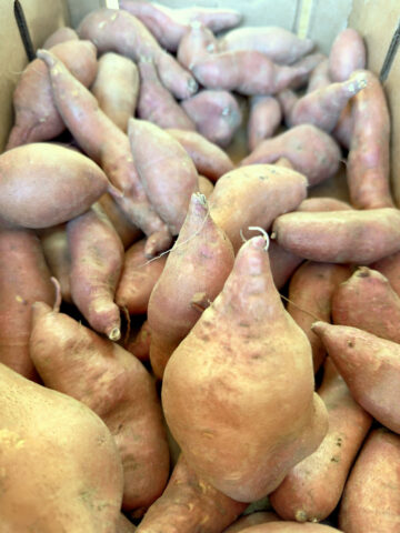 Sweet Potatoes at Local Farmers Market