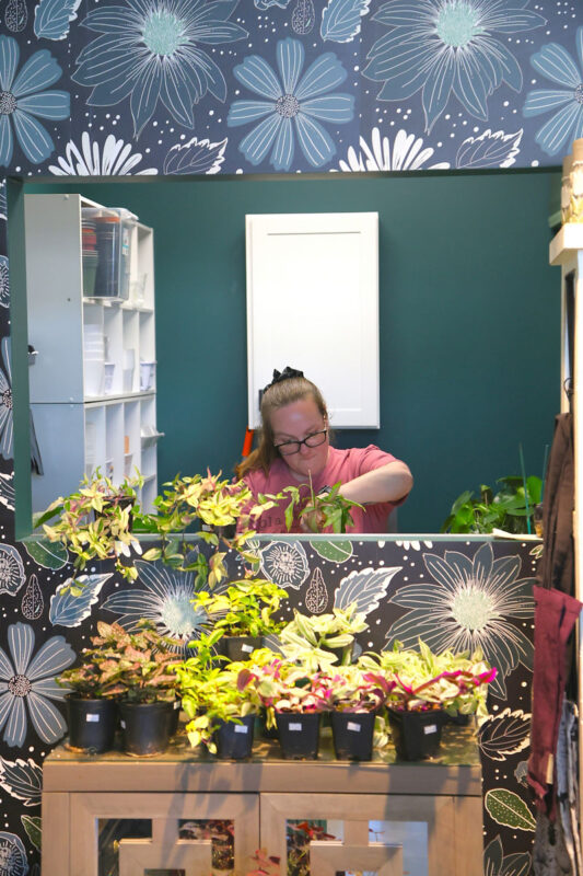 Black Cat Plant Shop Opening. (Tony Centonze, Clarksville Living Magazine) Black Cat Plant Shop Opening. (Tony Centonze, Clarksville Living Magazine)
