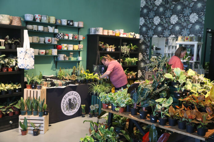 Black Cat Plant Shop Opening. (Tony Centonze, Clarksville Living Magazine)