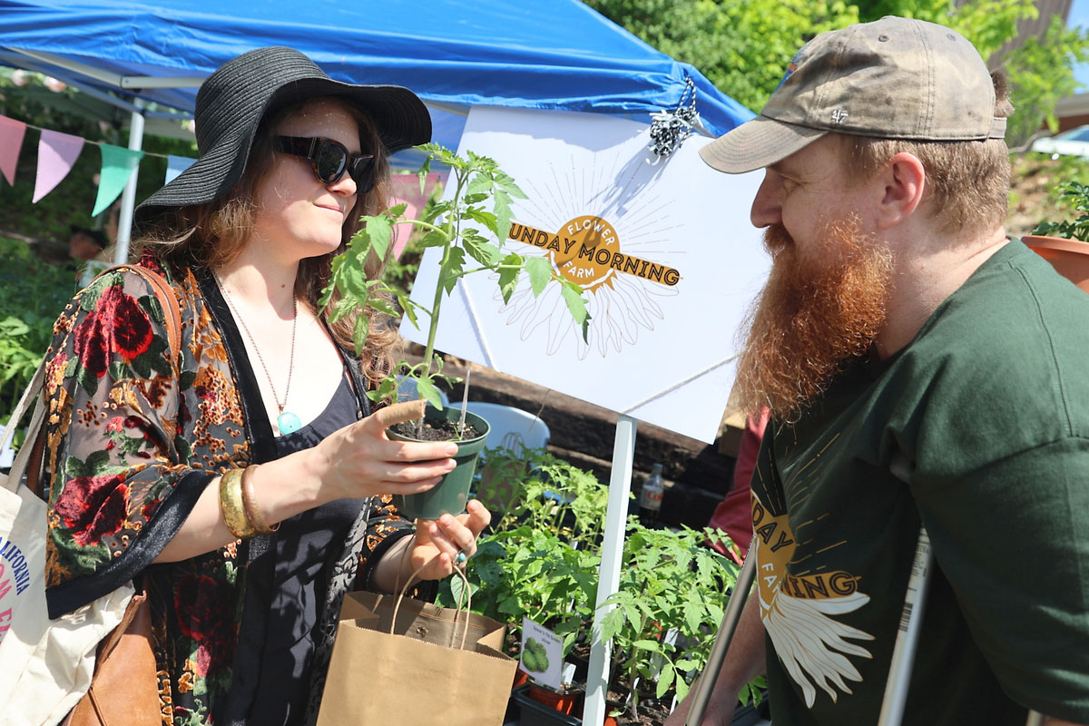 Nicole Mayhew bought a rebel starfighter prime tomato Ritchie Patton of Sunday Morning Flower Farm Nicole Mayhew bought a rebel starfighter prime tomato Ritchie Patton of Sunday Morning Flower Farm
