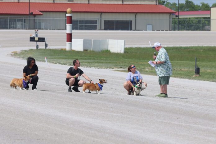 Corgi Races on Mother's Day at Oak Grove Racing