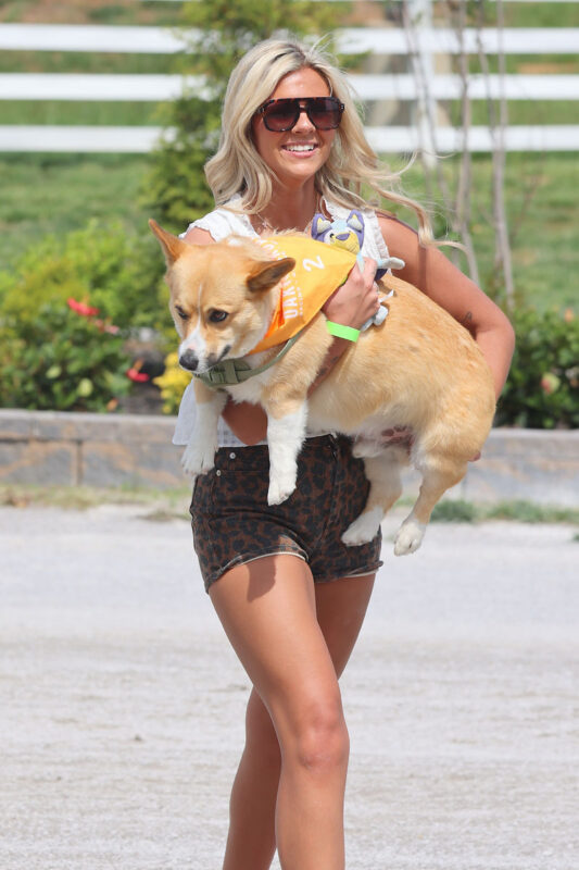 Corgi Races on Mother's Day at Oak Grove Racing