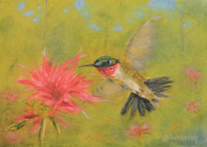 Ruby-throated Hummingbird searching for nectar. (Painting by Larry Richardson)